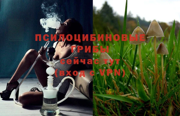 герыч Каменногорск