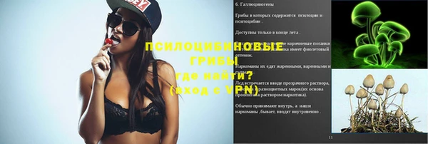 амф Кущёвская