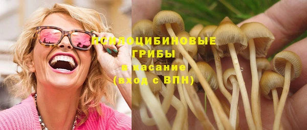 герыч Каменногорск